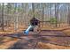 Backyard playground with slide and swing set offers outdoor fun for children in a wooded setting at 10729 Trego Trl, Raleigh, NC 27614