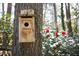 A wooden birdhouse attached to a tree, creating a haven for birds in a serene outdoor setting at 3508 Cambridge Rd, Durham, NC 27707