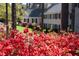 Exterior view of the home showcasing vibrant red azaleas in bloom with the home blurred in the background at 3508 Cambridge Rd, Durham, NC 27707