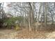 Wooded lot with a variety of bare trees and fallen leaves and a yellow marker post at 4905 Briarstone Ct, Raleigh, NC 27610