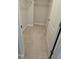 Walk-in closet with carpet and shelving at 621 Rockcastle Dr, Cary, NC 27519