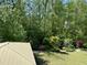 Backyard featuring lush greenery and manicured landscaping at 2046 Fellini Dr, Apex, NC 27502