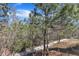 Serene wooded scene with a paved trail, offering a peaceful escape into nature at 205 Virginia Water Dr, Rolesville, NC 27571