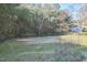 Spacious backyard featuring lush bamboo trees, offering privacy and natural beauty at 2313 Prince St, Durham, NC 27707
