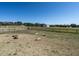 Large backyard featuring a wooden fence, trees, and playsets, perfect for Gathering fun at 2575 Sheriff Watson Rd, Sanford, NC 27332