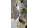 An aerial view of a single Gathering house with a winding driveway and front porch surrounded by trees at 484 Galaxy Dr, Garner, NC 27529