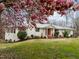 Charming single-story house with a red front door, surrounded by flowering trees and manicured greenery at 513 N Nash St, Hillsborough, NC 27278