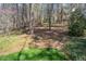 Lush backyard featuring mature trees, green grass, and a charming stone pathway leading to a swing set at 1305 Bascomb Dr, Raleigh, NC 27614