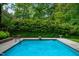Beautiful swimming pool surrounded by a stone patio and a verdant, manicured garden at 3421 Griffice Mill Rd, Raleigh, NC 27610