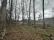 Picturesque scene of a wooded property with a glimpse of a serene pond or lake at 4989 Nc 217, Erwin, NC 28339