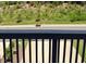 Scenic view from the deck, offering a tranquil outdoor living space at 730 Firebrick Drive Dr, Cary, NC 27519