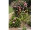 Lush landscaping featuring a variety of colorful flowers, bushes, and greenery at 132 Lord Ashley Rd, Raleigh, NC 27610