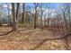 Leaf covered backyard with mature trees with ample shade and natural beauty at 158 Torain St, Hillsborough, NC 27278
