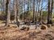 Outdoor fire pit with seating nestled among tall trees and natural rock features at 205 Old Greensboro Rd, Chapel Hill, NC 27516