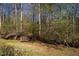 Woodpile surrounded by trees in a spacious backyard, offering a serene and natural environment at 213 Yellow Poplar Ave, Wake Forest, NC 27587