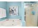 Bathroom with soaking tub, separate shower and blue accents at 604 Trunecek Cir, Raleigh, NC 27603