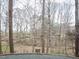 Backyard view with tall mature trees at 104 Manchester Pl, Chapel Hill, NC 27516
