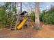 Wooden backyard playset with yellow slide, climbing structure, and swing offers outdoor fun at 112 Trellingwood Dr, Morrisville, NC 27560