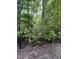 View of a backyard showing dense tree coverage beyond a decorative fence at 205 Quarryrock Rd, Holly Springs, NC 27540