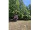 Green and lush backyard, perfect for privacy, recreation, and enjoyment at 205 Quarryrock Rd, Holly Springs, NC 27540