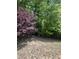 A backyard featuring a mix of trees and foliage at 205 Quarryrock Rd, Holly Springs, NC 27540