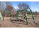 Playground features climbing structures with green supports, a ladder, and a cargo net with a wood chip ground cover at 517 Aronia Dr, Hillsborough, NC 27278