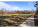 Soccer field with goals surrounded by trees and a sidewalk for neighborhood use at 517 Aronia Dr, Hillsborough, NC 27278
