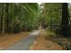 Wooded walking path with a winding paved trail, surrounded by lush trees, offering a peaceful retreat at 5513 Edgebury Rd, Raleigh, NC 27613