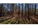 Beautiful backyard with mature trees and privacy at 902 Loop Rd, Clayton, NC 27527