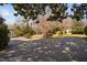 Expansive backyard view with gravel and landscaping, showing shed and neighboring buildings at 212 W University Dr, Chapel Hill, NC 27516
