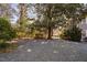 Gravel backyard with tall trees and mature landscaping at 212 W University Dr, Chapel Hill, NC 27516