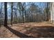 Beautiful wooded lot with lots of bare trees and pine straw covering the ground at 2776 Jordan Ct, Creedmoor, NC 27522
