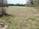 Expansive backyard featuring mature trees, lush green grass, and plenty of space for outdoor activities at 3015 Nc Hwy 87 South, Graham, NC 27253