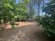 Lush backyard space with mature trees, offering ample space for recreation and relaxation at 307 Kellyridge Dr, Apex, NC 27502