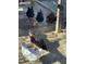 A close-up of several chickens pecking in the yard at 3417 Pea Ridge Rd, New Hill, NC 27562