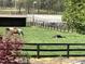 Horse pasture with a two horses near a wooden fence at 3417 Pea Ridge Rd, New Hill, NC 27562