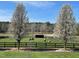 Beautiful pasture with flowering trees and horses grazing in the lush, green field at 3417 Pea Ridge Rd, New Hill, NC 27562