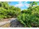 Landscaped yard showcasing a gravel path through mature bushes and trees at 4811 New Sharon Church Rd, Hillsborough, NC 27278