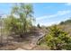 Inviting outdoor space with a stone walkway surrounded by lush greenery and mature trees at 4811 New Sharon Church Rd, Hillsborough, NC 27278