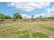 An expansive backyard with a tree line at the back of the property at 571 White Birch Ln, Angier, NC 27501