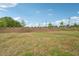 Expansive backyard with newly seeded grass, landscaping, and a beautiful backdrop of lush trees and blue skies at 591 White Birch Ln, Angier, NC 27501