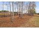 Fenced-in backyard with a disc golf basket and mature trees at 105 Olde Liberty Dr, Youngsville, NC 27596