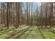 Private backyard surrounded by tall trees and a wood fence offers seclusion and natural beauty at 1113 Harvest Mill Ct, Raleigh, NC 27610