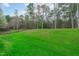 Large backyard featuring a lush green yard and trees for privacy at 117 Talley Ridge Dr, Holly Springs, NC 27540