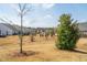 Spacious backyard with lush greenery, young trees, and a serene view of the surrounding neighborhood homes at 1214 Gaston Manor Dr, Durham, NC 27703