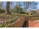 Landscaped backyard with a wooden retaining wall and a mix of trees and greenery at 6008 Chittim Ct, Raleigh, NC 27616