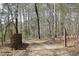 A view of the leaf-covered driveway leading to the property, flanked by trees and a fence at 9511 Collins Creek Dr, Chapel Hill, NC 27516