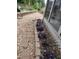Beautiful backyard with a stone walkway, flowers, and a stone retaining wall at 10016 Porto Fino Ave, Wake Forest, NC 27587