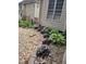 Well-maintained backyard with garden beds, small flowers, and a pea gravel ground cover at 10016 Porto Fino Ave, Wake Forest, NC 27587