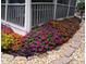 Charming flower bed along the side of the house with vibrant red and purple flowers at 10016 Porto Fino Ave, Wake Forest, NC 27587